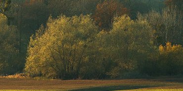 Derniers rayons
