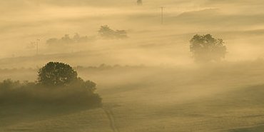 prairies enchantées