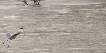 Danseuse sur glace