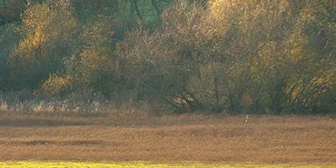 Fin du jour en automne