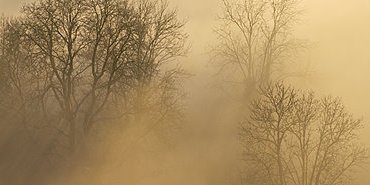 Brumes du soir