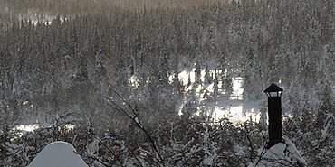 Refuge dans la forêt d'épiceas