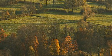 Fin de journée en automne