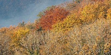 Fin de journée en automne