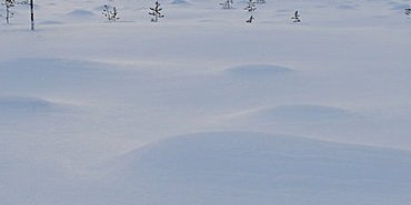 Une tourbière sous la neige