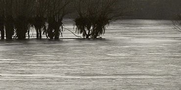 Solitude de l'Aigrette
