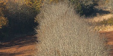 Automne dans l'Auxois