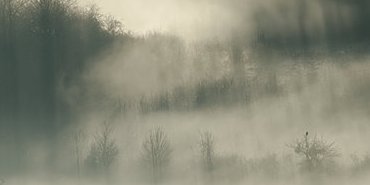 Rayons