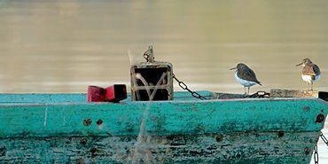Repos sur barque